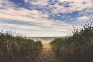 saugatuck, lake michigan, hotel
