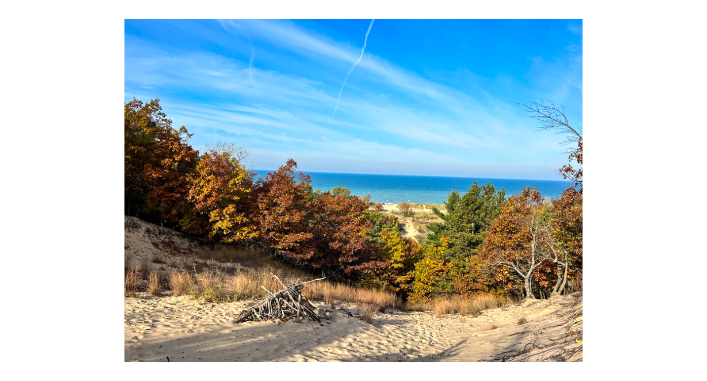 Sand dune with trees. Lake Michigan is in the far distance.